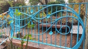clematis-railing-09