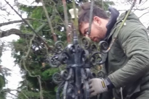 dunorlan-park-lanterns-tunbridge-wells-07