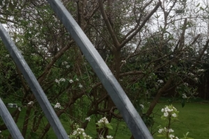 mjh_exterior-garden-trellis_3-scaled