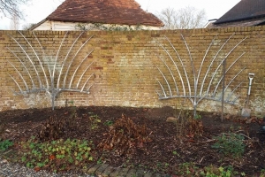 forged-fan-trellis-04