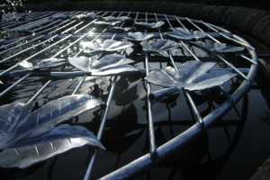 Pond Cover Guildford