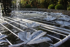 Pond Cover Guildford